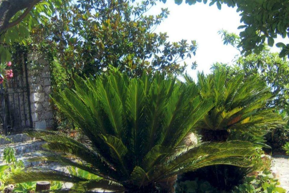 Villa Branco ตาออร์มินา ภายนอก รูปภาพ
